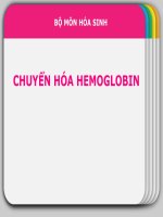 CHUYỂN hóa HEMOGLOBIN  (hóa SINH SLIDE) 