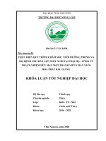 Thực hiện quy trình chăm sóc, nuôi dưỡng, phòng và trị bệnh cho đàn lợn thịt tại trại hạ   công ty trách nhiệm hữu hạn MTV chăn nuôi hòa phát bắc giang 