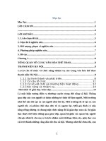 Tiểu luận thực trạng hoạt động biểu diễn tại cung văn hóa thể thao thanh niên hà nội