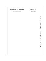 Quản lý nhà nước về công tác thanh niên đồng bào dân tộc thiểu số trên địa bàn tỉnh quảng trị 