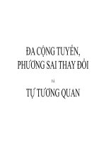 Bài 3: Đa cộng tuyến, Phương sai thay đồi và Tự tương quan