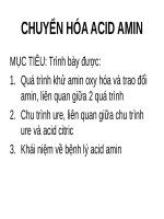 CHUYỂN hóa ACID AMIN và PROTEIN (hóa SINH SLIDE) 