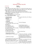 Giáo án lớp 2 tuần 17