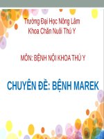 SEMINAR (CHUYÊN đề BỆNH nội KHOA THÚ y) BỆNH MAREK 