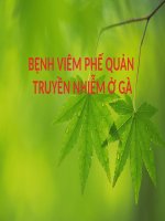 SEMINAR (CHUYÊN đề BỆNH nội KHOA THÚ y) BỆNH VIÊM PHẾ QUẢN TRUYỀN NHIỄM ở gà 