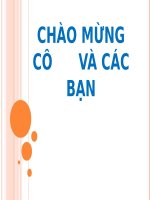 SEMINAR (CHUYÊN đề BỆNH nội KHOA THÚ y) BỆNH lở mồm LONG MÓNG TRÂU bò 