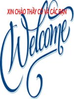 SEMINAR (CHUYÊN đề BỆNH nội KHOA THÚ y) trúng độc sắn (cyanuanosis) 