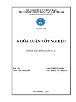 Giải pháp nâng cao hiệu quả hoạt động tín dụng tại ngân hàng thương mại cổ phần nam việt chi nhánh hải phòng 