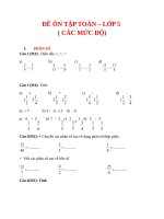 ÔN TOÁN lớp 5 (4mức độ) 