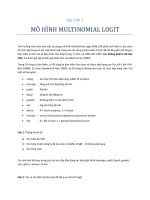 mô hình multinomial logit