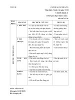 Giáo án tuần 20 CĐ 8. Nhánh 2