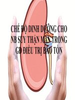 SEMINAR (DINH DƯỠNG TIẾT CHẾ) CHẾ độ DINH DƯỠNG CHO NGƯỜI BỆNH SUY THẬN mạn TRONG gđ điều TRỊ bảo tồn 