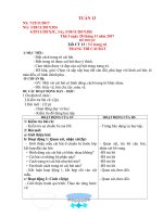 TUẦN 13 - Mĩ thuật lớp 3 4 5