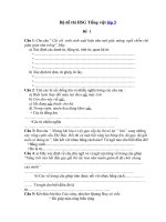 Bộ đề thi tiếng việt lớp 5