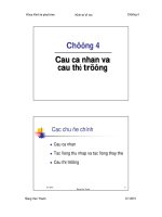 Chương 4: Cầu cá nhân và cầu thị trường