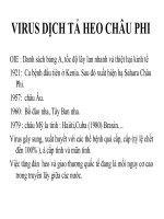 VIRUS DỊCH tả HEO CHÂU PHI (VI SINH THÚ y SLIDE) 