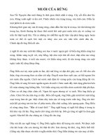 Bài 3: Hình vuông, hình tròn: Hình 1