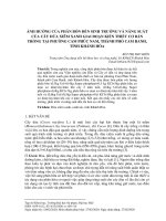 Ảnh hưởng của phân bón đến sinh trưởng và năng suất của cây dừa xiêm xanh giai đoạn kiến thiết cơ bản trồng tại phường Cam Phúc Nam, thành phố Cam Ranh, tỉnh Khánh Hòa