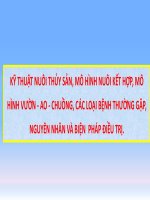 Bệnh học thủy sản mô hình nuôi kết hợp