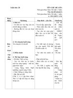 Giáo án Ngày Tết quê em