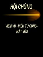 SEMINAR (CHUYÊN đề BỆNH nội KHOA THÚ y) VIÊM vú   VIÊM tử CUNG   mất sữa (chữ biến dạng do slide dùng font VNI times, tải về xem bình thường) 