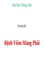 SEMINAR (CHUYÊN đề BỆNH nội KHOA THÚ y) bệnh viêm màng phổi 
