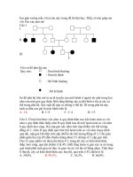 Em tập lái ô tô