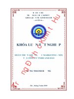 Luận văn kinh tế HOÀN THIỆN CHIẾN LƯỢC MARKETING - MIX TẠI CÔNG TY TNHH ANH ĐÀO