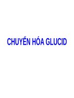 CHUYỂN hóa GLUCID (hóa SINH SLIDE) 