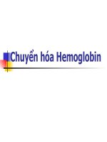 Chuyển hóa hemoglobin (hóa SINH SLIDE) 