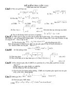 Gioi thieu ve Nguyen Du.flv