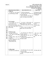 Giáo án tuần 31 Quê hương em sửa