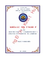 Luận văn kinh tế HOÀN THIỆN CHIẾN LƯỢC MARKETING MIX TẠI CÔNG TY BẢO VIỆT NHÂN THỌ THỪA THIÊN HUẾ