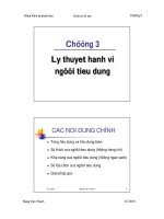 Chương 3: Lý thuyết hành vi người tiêu dùng