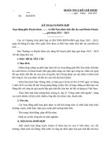 KẾ HOẠCH PHỐI HỢP hoạt động giữa Huyện đoàn ……. và Hội Nạn nhân chất độc da camDioxin Huyện ….., giai đoạn 2021 – 2023