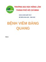 BÁO cáo (CHUYÊN đề nội KHOA NGÀNH THÚ y) BỆNH VIÊM BÀNG QUANG 