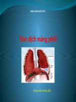 SEMINAR (CHUYÊN đề nội KHOA NGÀNH THÚ y) TRÀN DỊCH MÀNG PHỔI 