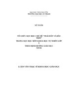 Tổ chức dạy học chủ đề 