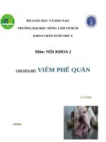 BÁO cáo (CHUYÊN đề nội KHOA NGÀNH THÚ y) VIÊM PHẾ QUẢN 