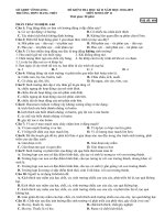 ĐỀ THI HK 2 NĂM HỌC 2018-2019 MÔN SINH 11