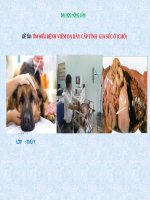 SEMINAR (CHUYÊN đề BỆNH nội KHOA THÚ y) tìm HIỂU BỆNH VIÊM dạ dày cấp TÍNH GIA súc ở (CHÓ) 