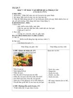 Mĩ thuật 1 Tuần 7