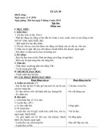 Giáo án tuần 29. Môn: Tiếng Việt Toán Bồi dưỡng học sinh KNS VHGT