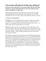 Cho con học mẫu giáo, bé sẽ được dạy những gì?