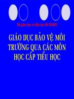 slide 1 sở gi¸o dôc vµ ®µo t¹o an giang giaùo duïc baûo veä moâi tröôøng qua caùc moân hoïc caáp tieåu hoïc tích hợp giáo dục bvmt trong môn đạo đức báo cáo viên cao minh mẫn châu đốc ngày 22 th¸ng 1