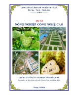 Lập dự án nông nghiệp công nghệ cao 