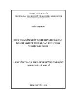 Luận văn thạc sĩ hiệu quả hoạt động sản xuất kinh doanh của các doanh nghiệp FDI tại các KCN bắc ninh 