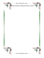 TIỂU LUẬN bảo HIỂM 1