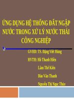 Dat ngap nuoc XL NTCN