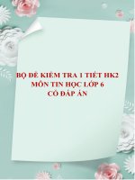 Bộ 5 đề kiểm tra 1 tiết học kì 2 môn Tin học lớp 6 có đáp án